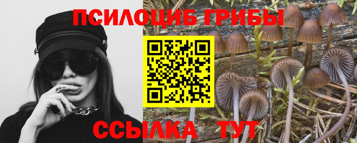 Россия  Псилоцибиновые грибы ЛСД  Псилоцибиновые грибы GOLDEN TEACHER  даркнет сайт  Вход с VPN 