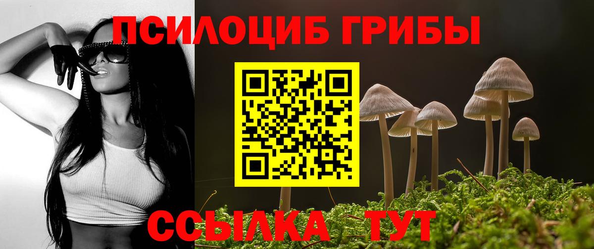 Псилоцибиновые грибы мухоморы Россия